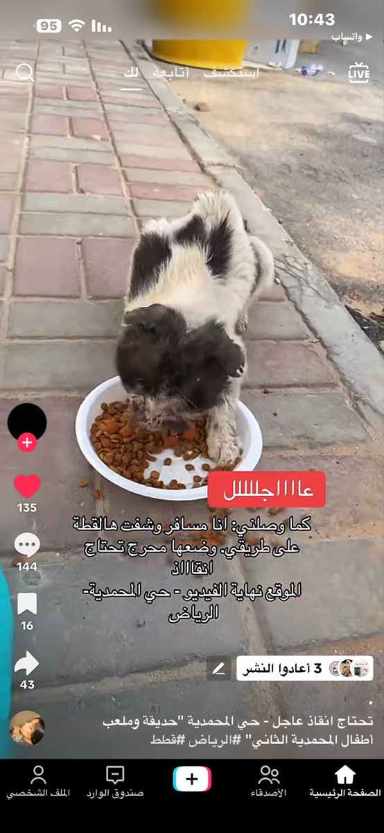 لمياء عبدالله النفيعي tweet media