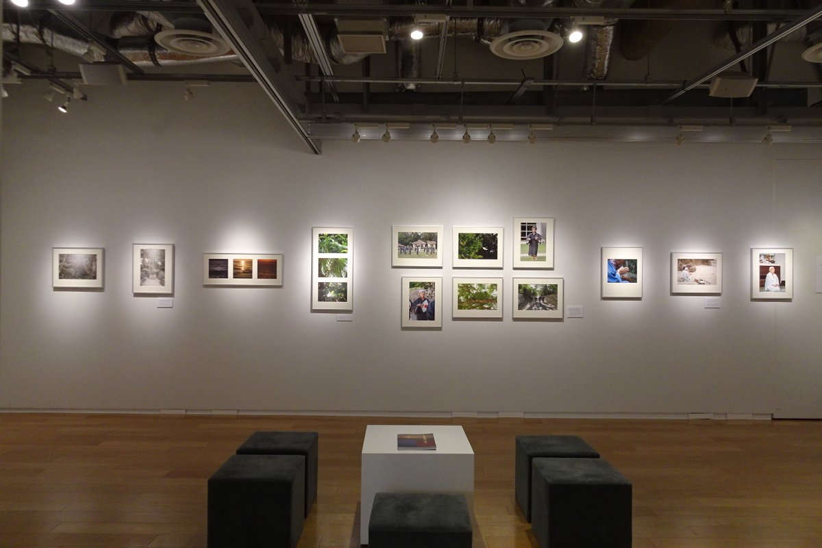 Sony Imaging Gallery tweet media