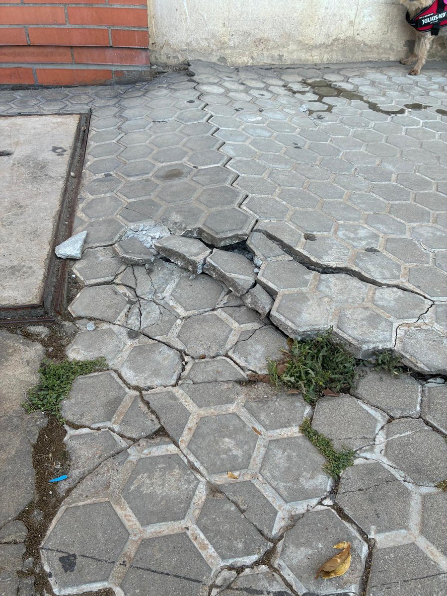 Susanabetis's tweet photo. @Ayto_Sevilla @jlsanzalcalde @Sevillasucia #010 buenos días, este es el lamentable estado en que se encuentra la calle Valentina Pinelo a la altura del número 7 en el @DtoEsteAlcTorre  ruego su pronta reparación porque hay vecinos que ya han tropezado con el. Muchas gracias. https://t.co/mvMAxPqici