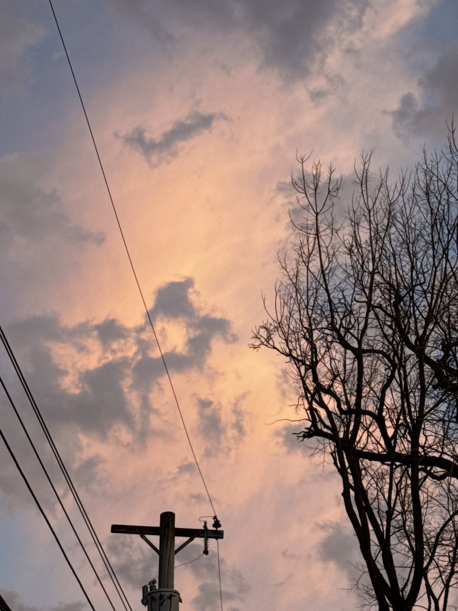 gloryalex tweet media