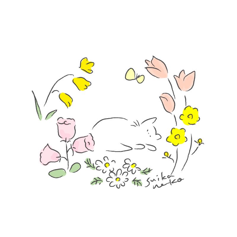すいかねこ|イラストレーター tweet media
