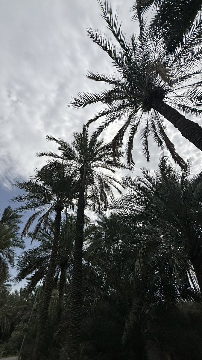 Sharifa ✩ tweet media