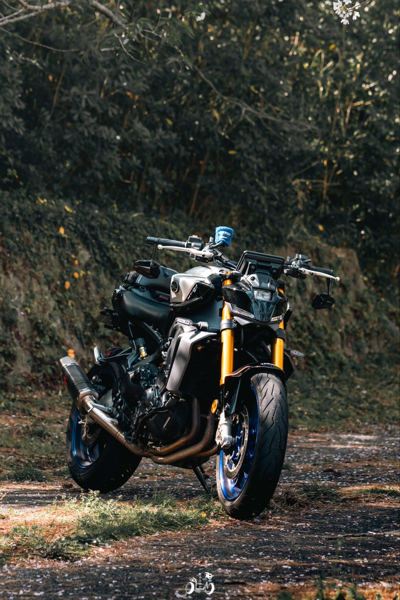 わたる tweet media