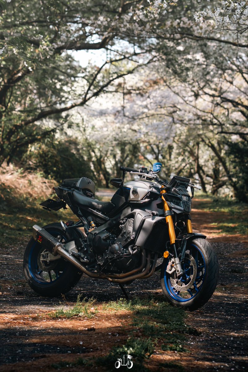 わたる tweet media