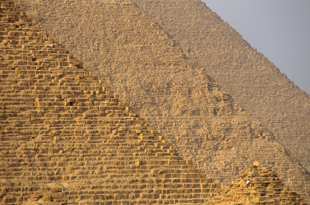 أرزة🇱🇧 tweet media