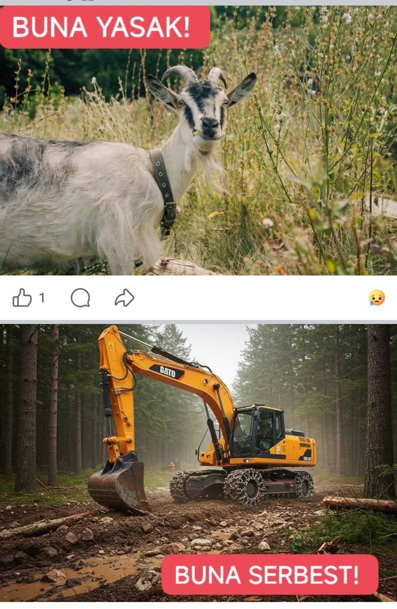 Recep Somuncu tweet media