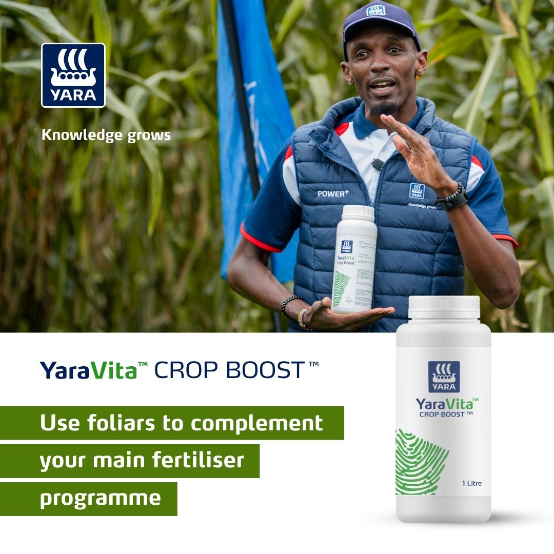YaraKenya tweet media
