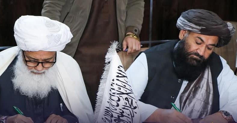 M. Nabi Bahar | محمد نبي بهار tweet media