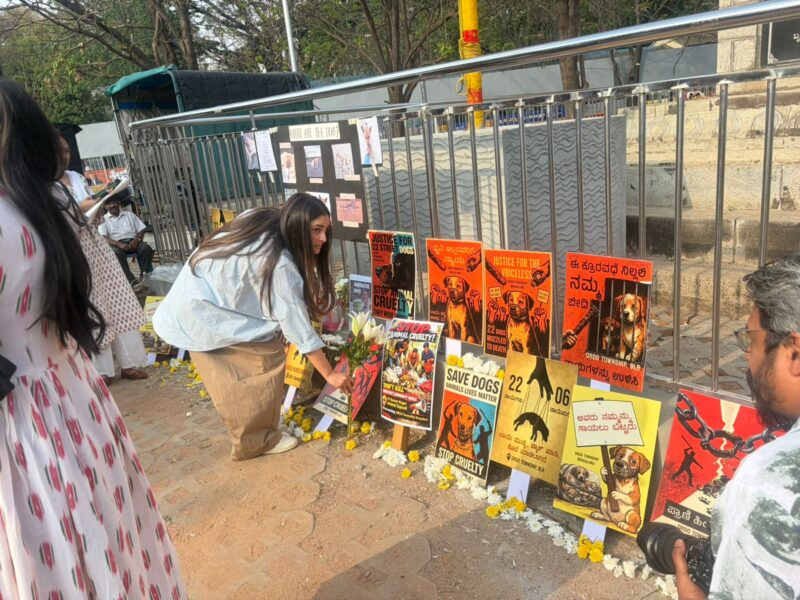 Hate Detector 🔍 tweet media