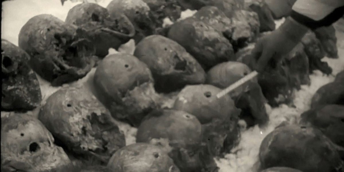 Monter 🇵🇱✝️🐺 tweet media