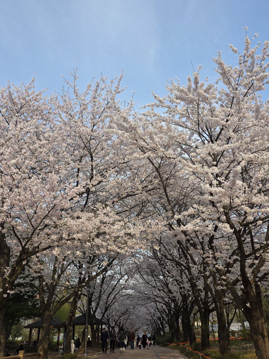 하나루엘 tweet media