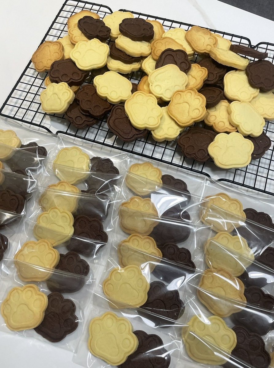 왈와ㄹ짓는굥 (첫콘L) tweet media