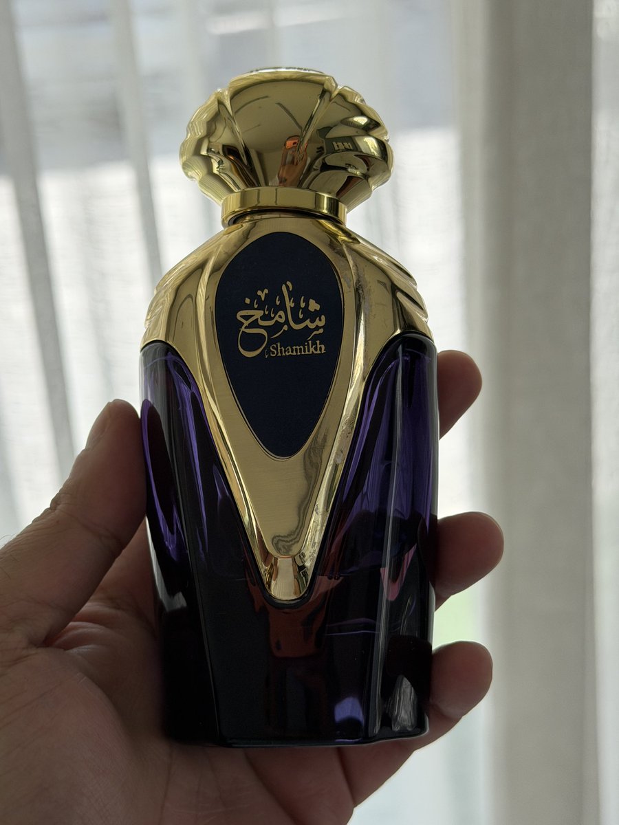 محمد طلال السعيد tweet media