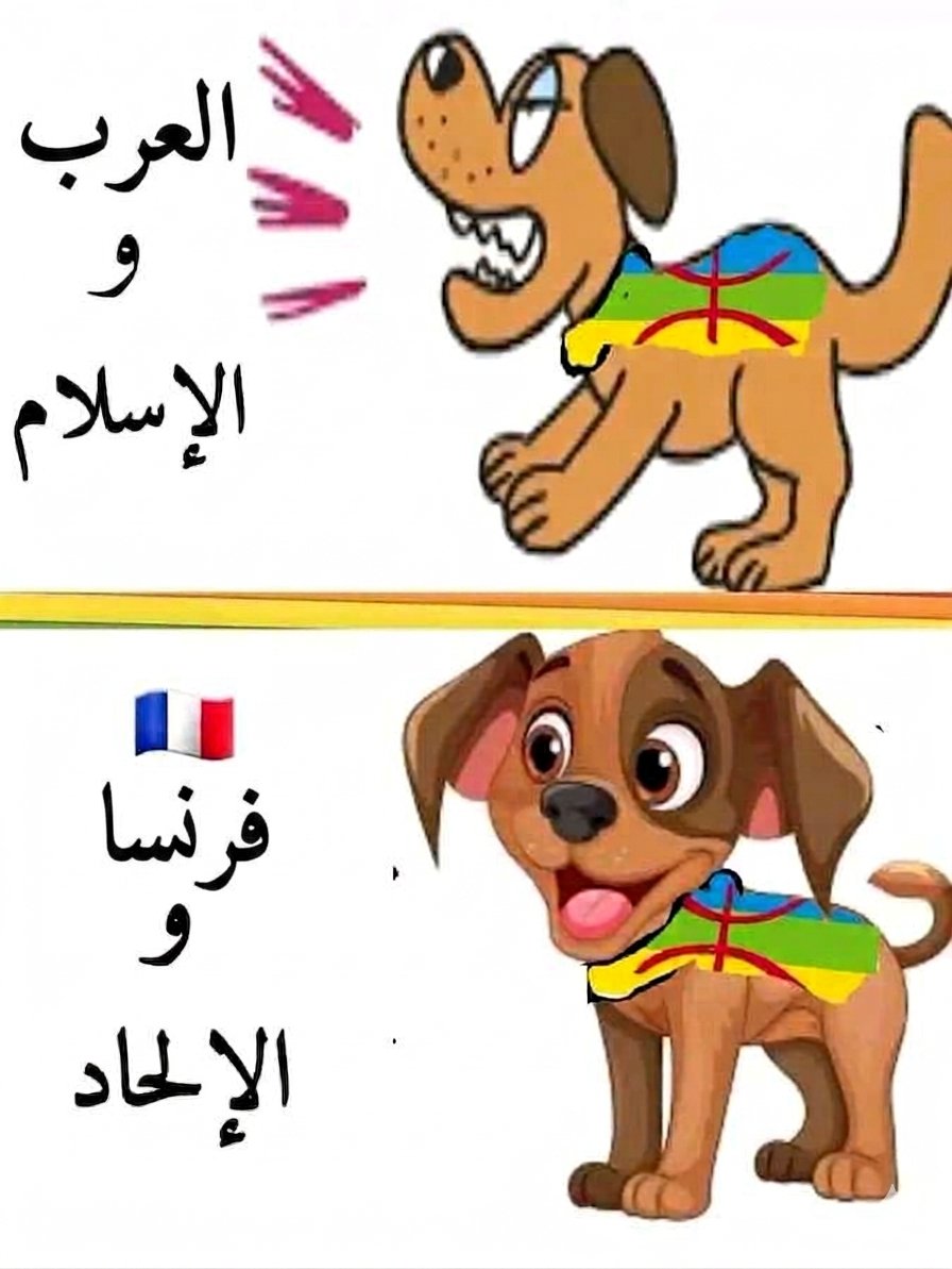 وائل 🇩🇿 tweet media