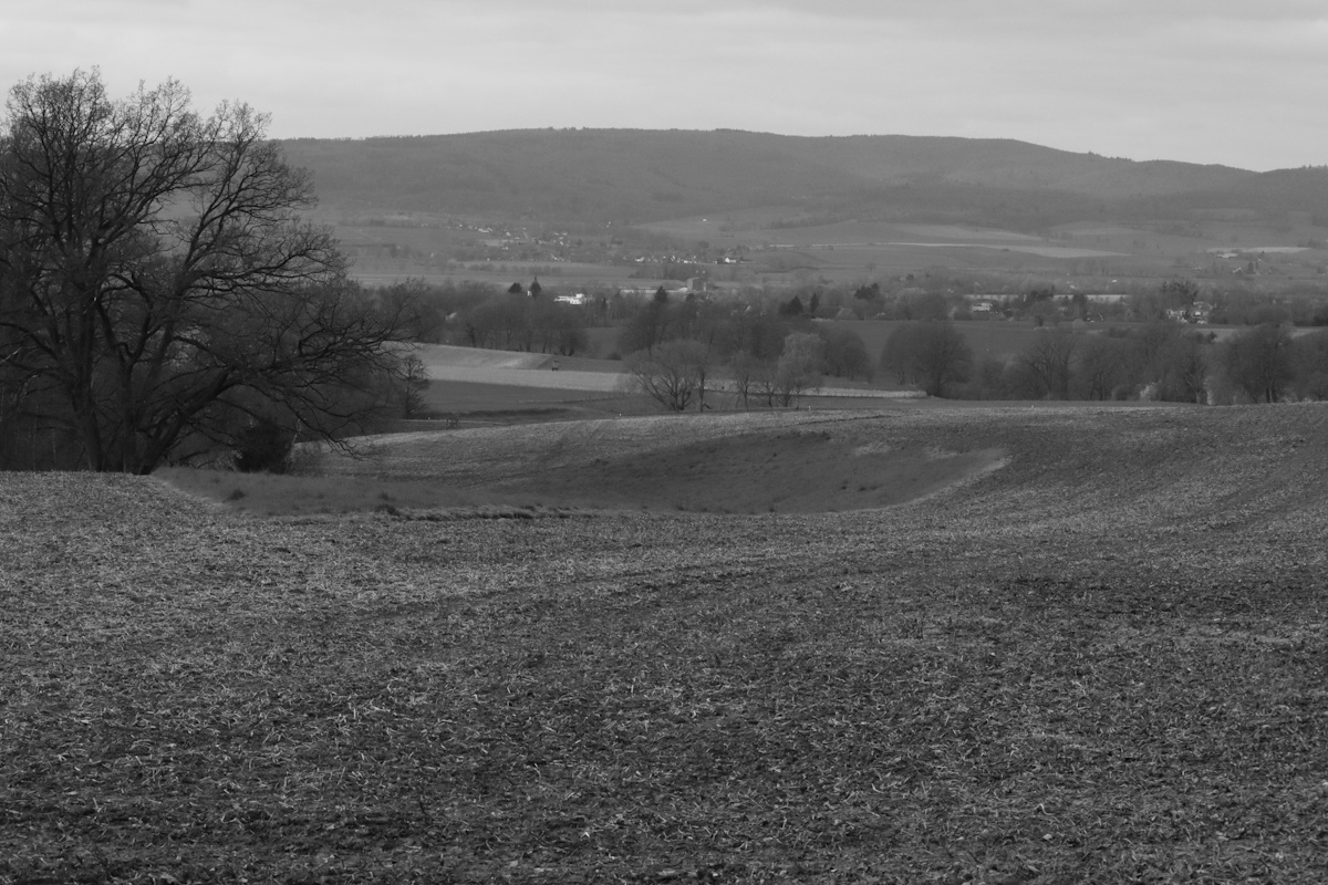 DrCKaiser's tweet image. #photos #Photography #landscape #monochrome #blackandwhite #trees #fields #beauty #path #blackandwhitephotography #landscapephotography