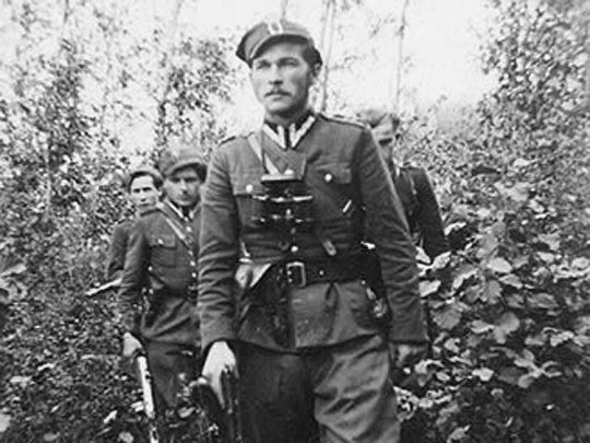 Narodowe Siły Zbrojne tweet media