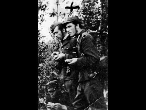 Narodowe Siły Zbrojne tweet media