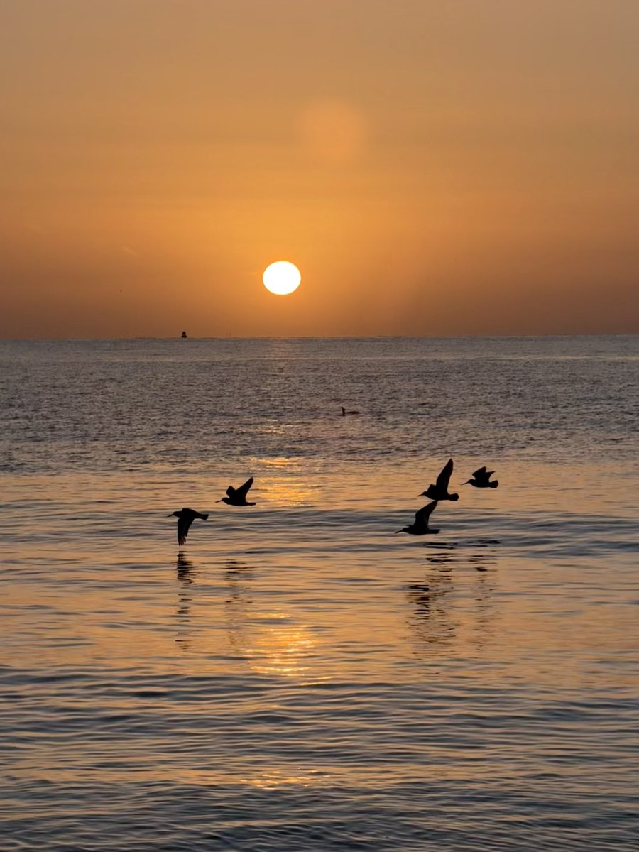 MarcD_Weegem's tweet image. Clear skies, cold fingers, sharp breath.
Winter reaches back for a final parting kiss.
What will this week bring?
Another breath. Then another.
Less sharp by the minute.
.
#ireland #stormhour #ThePhotoHour #sunrise #wicklow #dogsofx #irelandsancienteast #KeepDiscovering