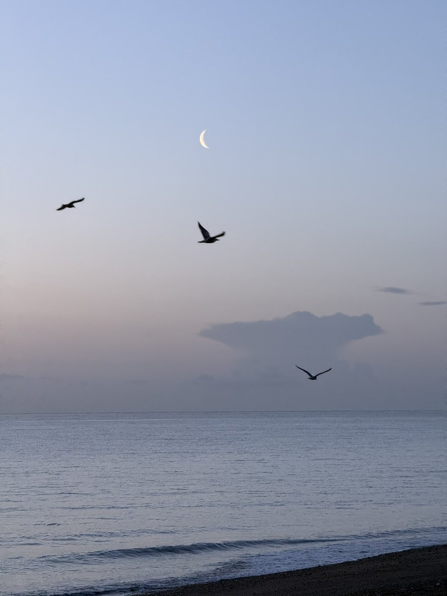MarcD_Weegem's tweet image. Clear skies, cold fingers, sharp breath.
Winter reaches back for a final parting kiss.
What will this week bring?
Another breath. Then another.
Less sharp by the minute.
.
#ireland #stormhour #ThePhotoHour #sunrise #wicklow #dogsofx #irelandsancienteast #KeepDiscovering