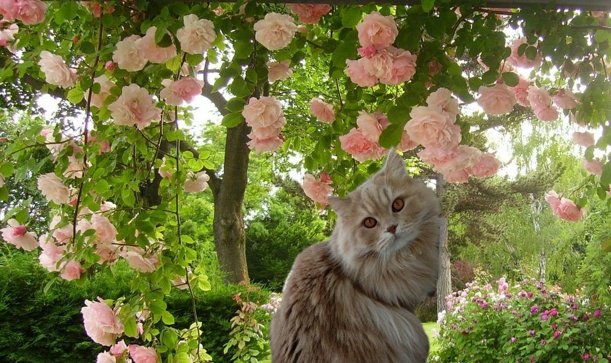 🌷kattiee🪽 tweet media