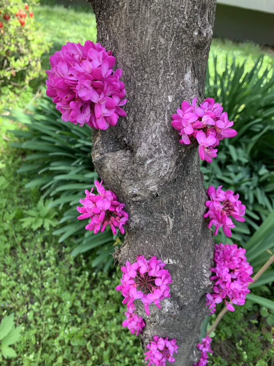 김희숙 tweet media