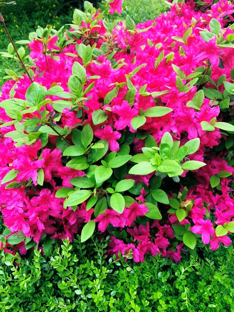 김희숙 tweet media