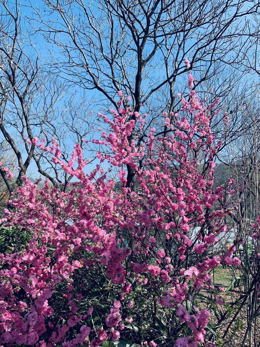 김희숙 tweet media