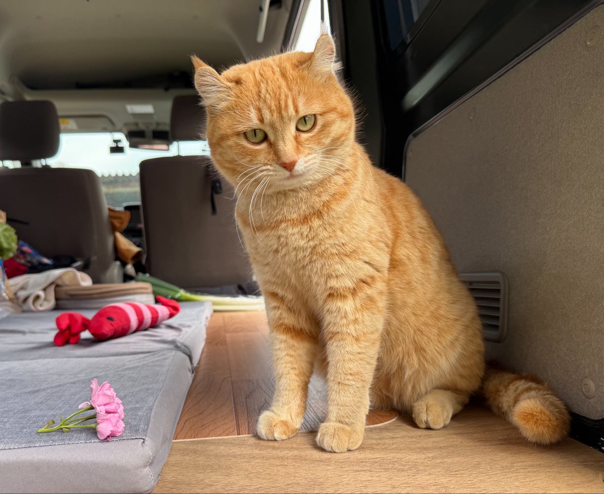 えくみ tweet media