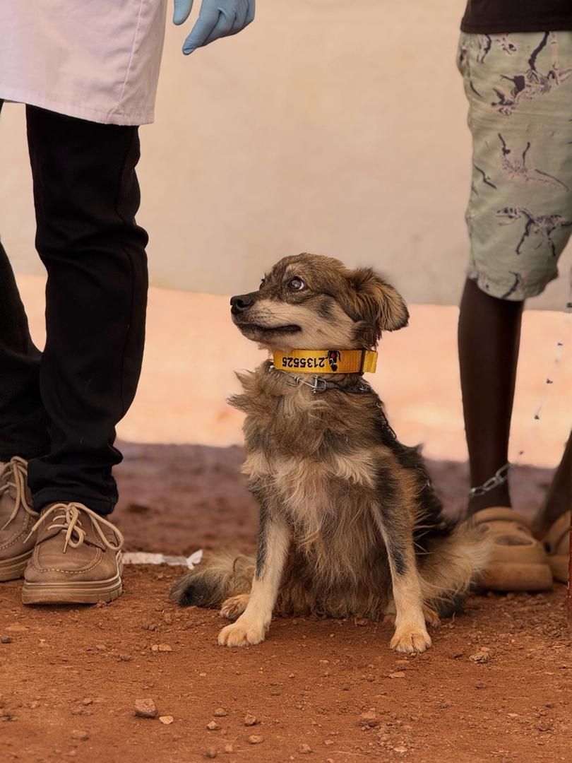 Uniquely Paws tweet media