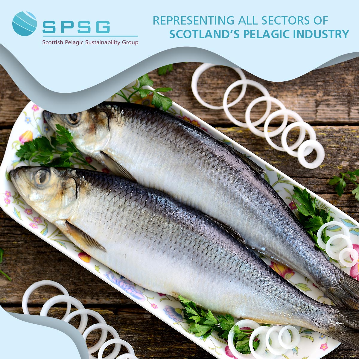 ScottishPelagic's tweet image. Research suggests that half of adults in the UK don't have adequate levels of vitamin D - yet this can be addressed by eating more mackerel and herring

spsg.co.uk

#HealthyEating #HeartHealthy #Omega3Rich #EatMoreFish #My2aWeek