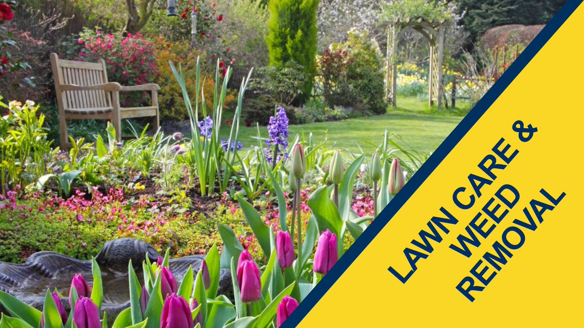 merritt_fryers's tweet image. Healthy lawns start here! 🌱 Our lawn care products control weeds, strengthen grass, and keep your garden or green space looking flawless #LawnCare #GardenCare #GreenSpaces #LawnMaintenance #LawnProducts #GardenLovers