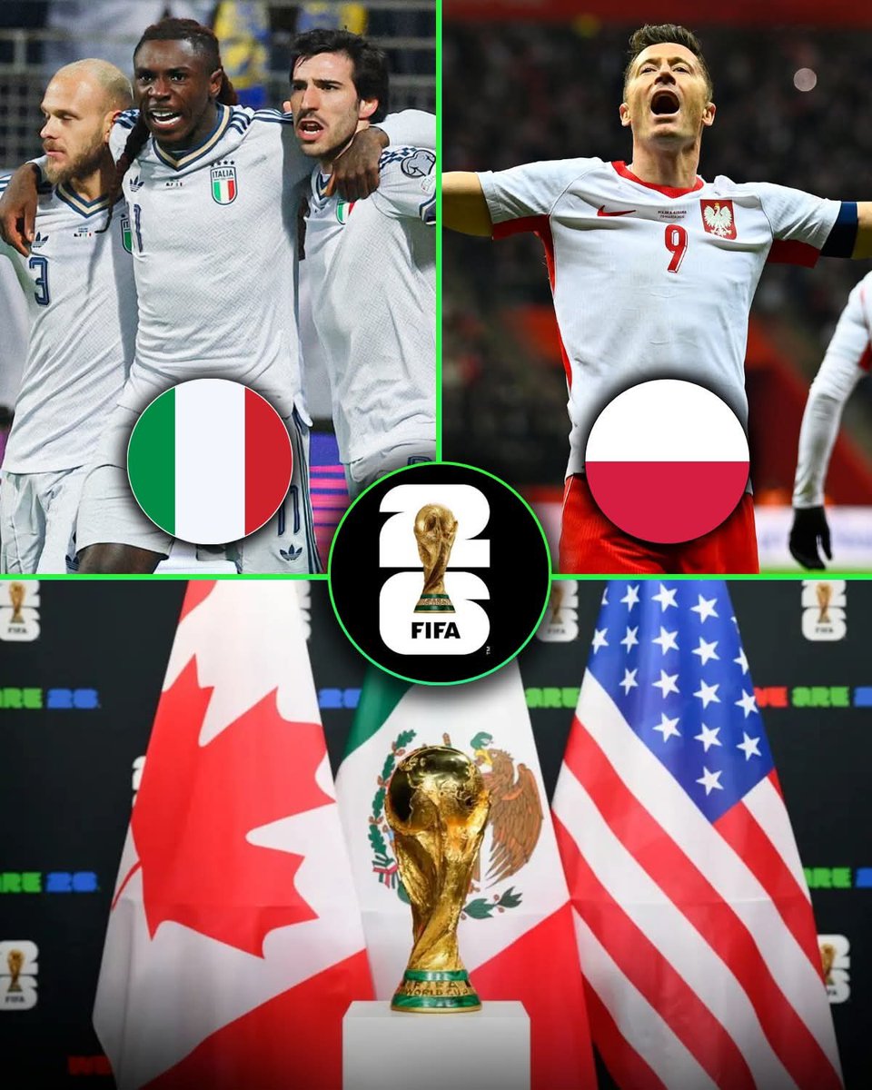 Newsy.Sportu tweet media