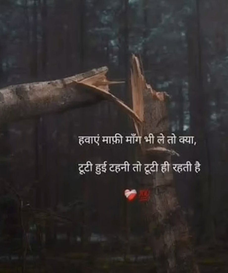 MADDHU SINGH tweet media