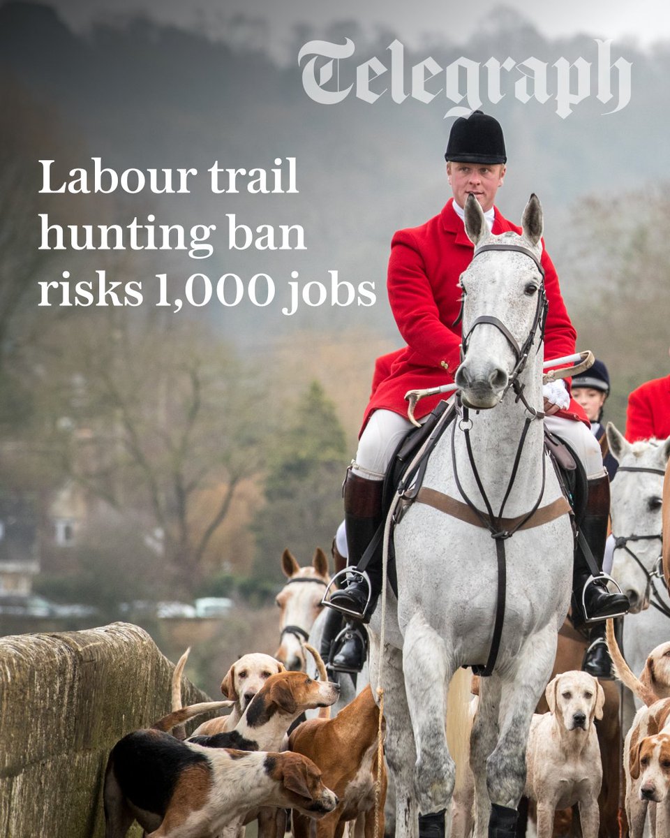 The Telegraph tweet media