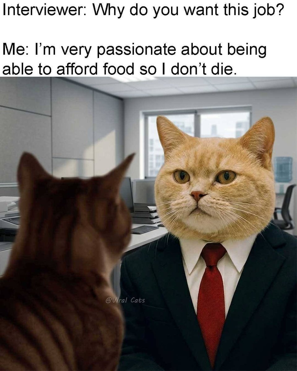 Wido Muruswallum tweet media