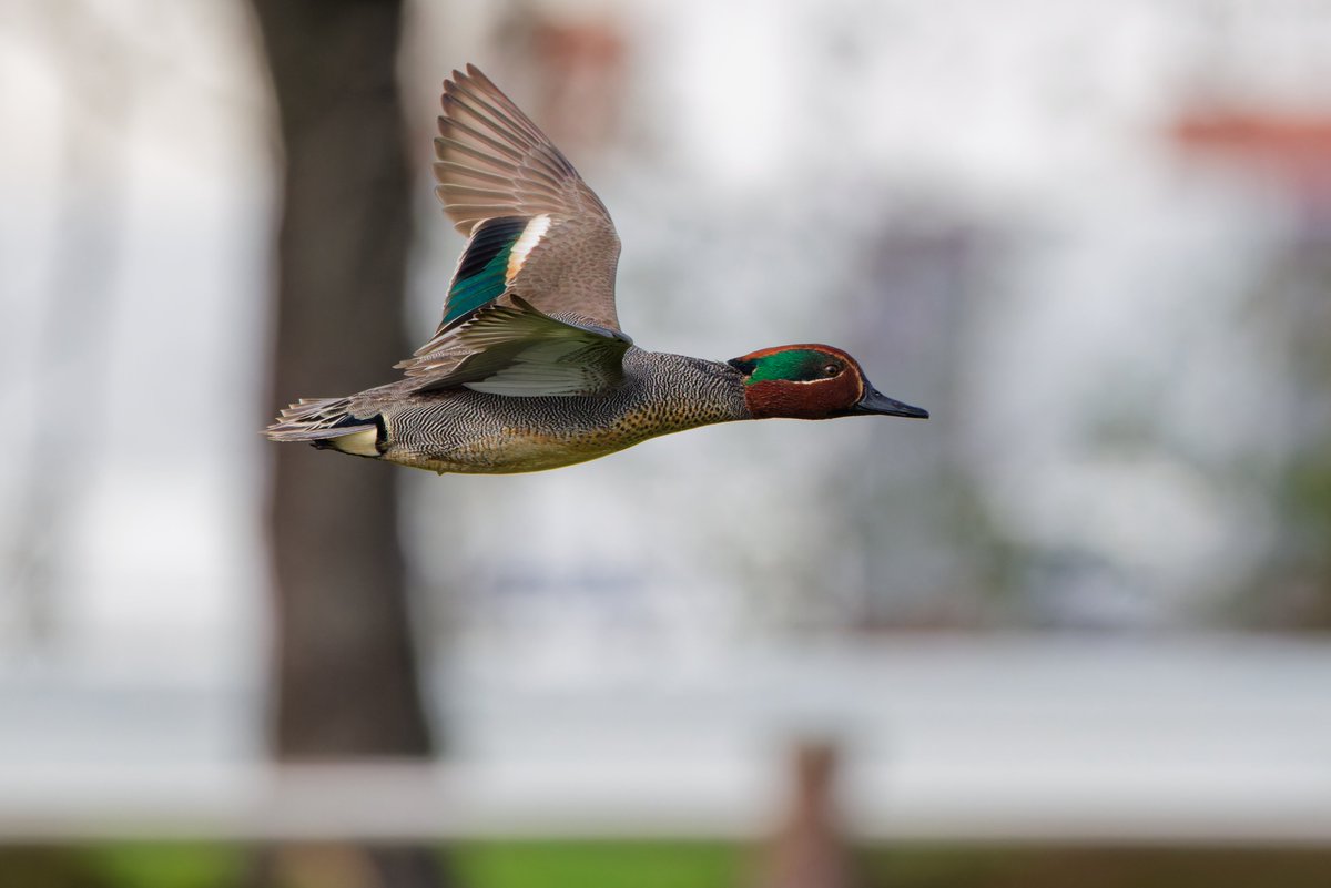 Tink@VBI tweet media