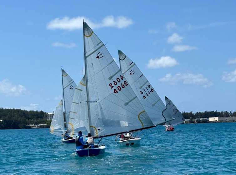 Islandstats tweet media