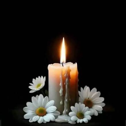 LOPPERKEM 🇺🇲 tweet media