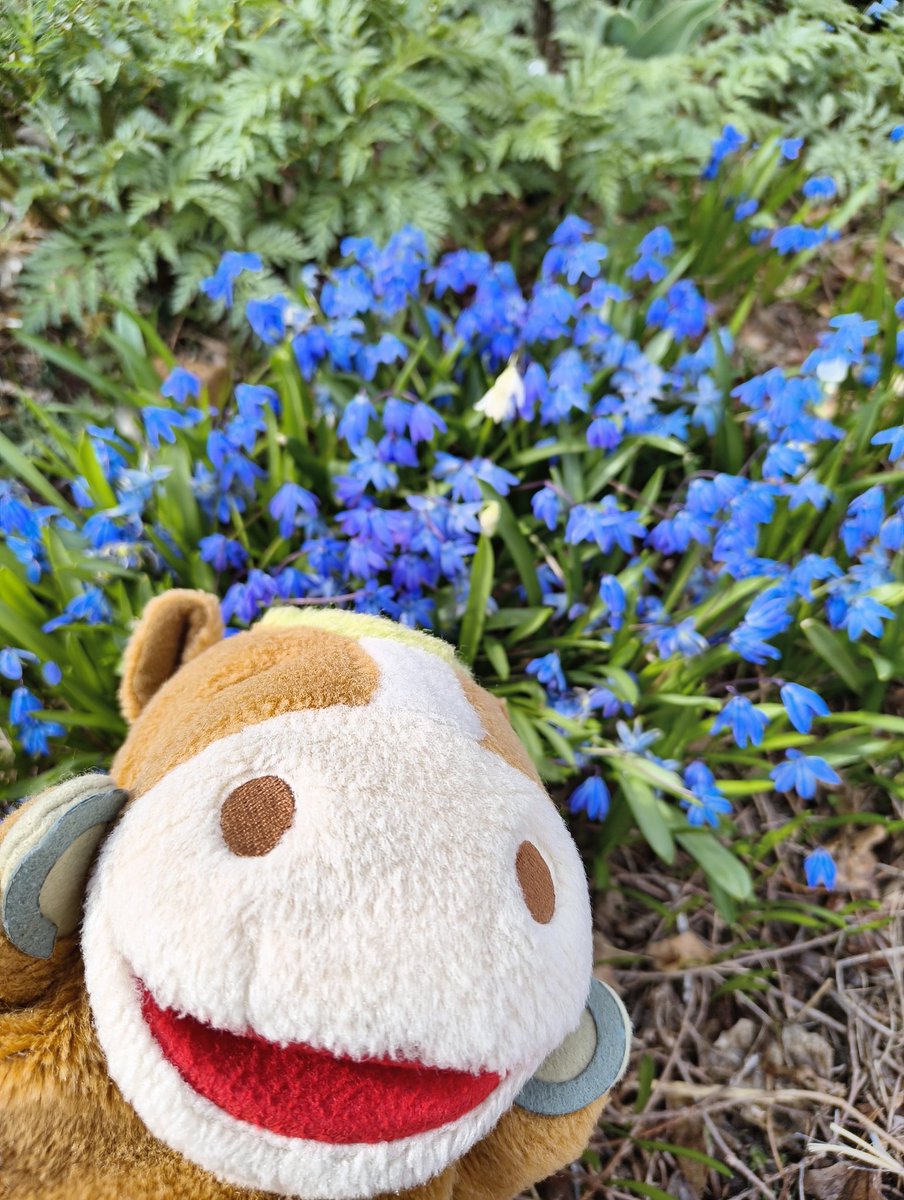 おけばんばくん 【置戸町観光協会公認】 tweet media