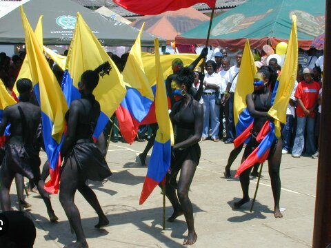 Miss Tote tweet media