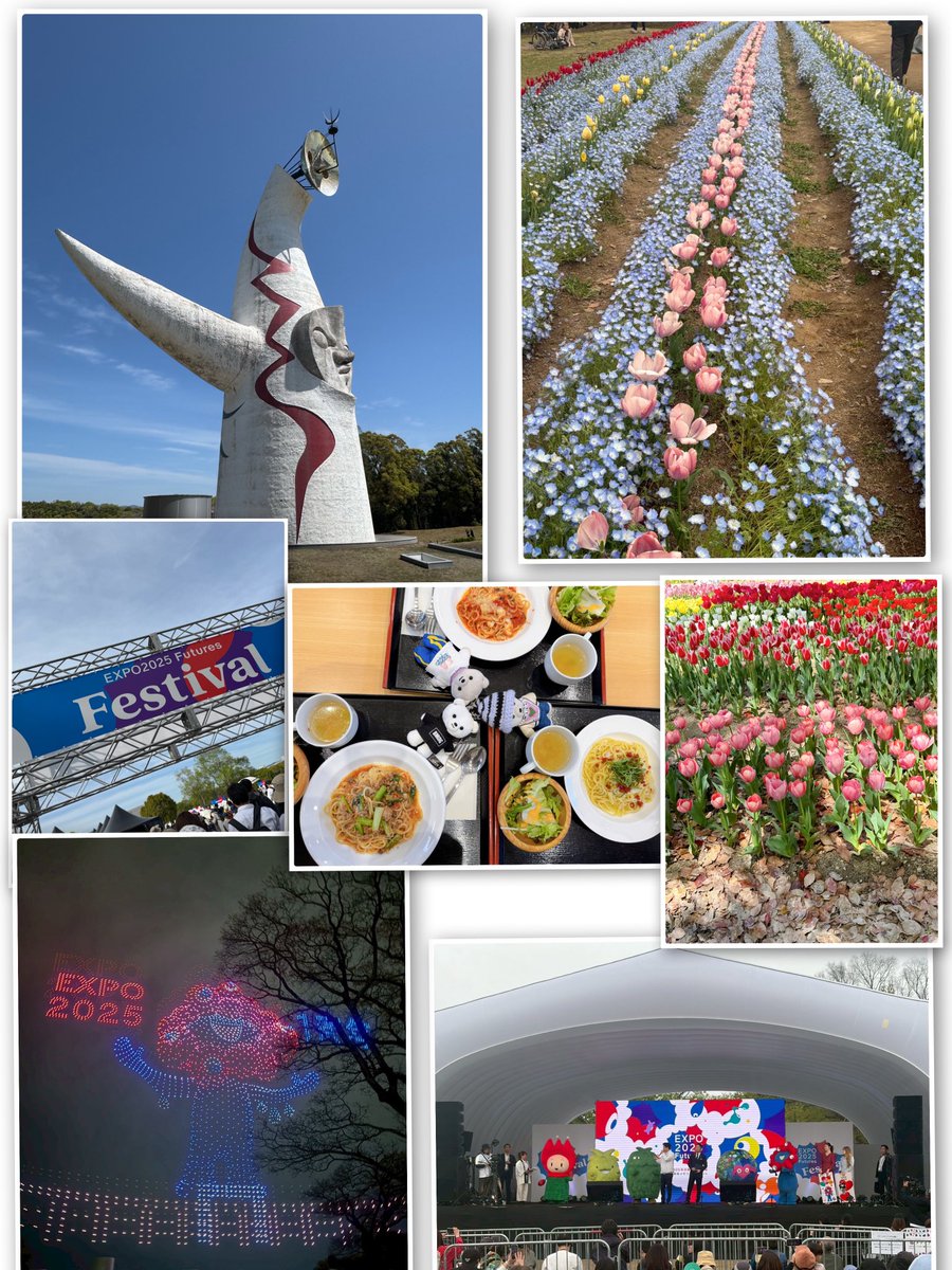 MONTA32🐢🩵💙🐯📦 tweet media