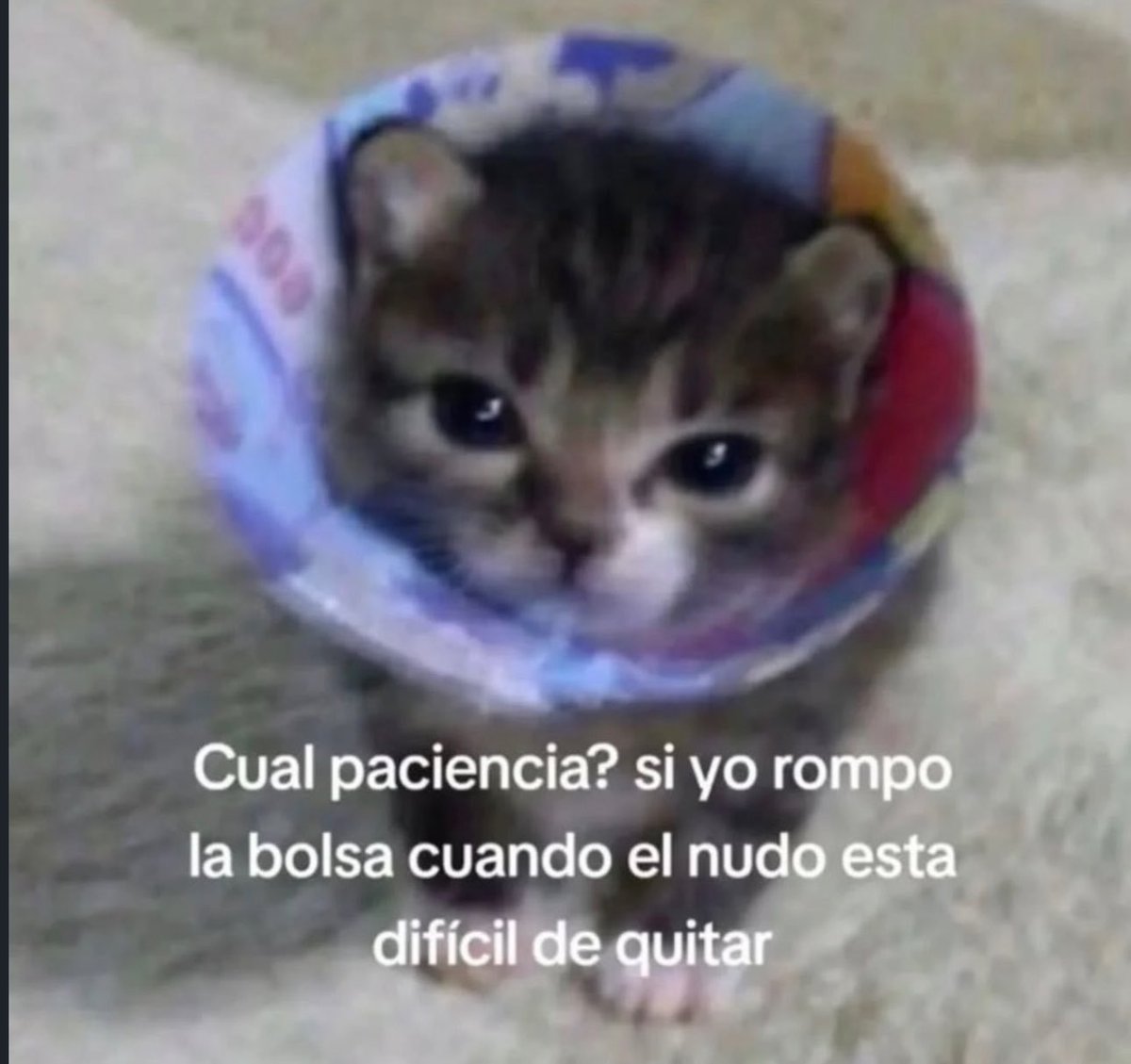 skereunpesado's tweet photo. https://t.co/IxA7GlZqq8