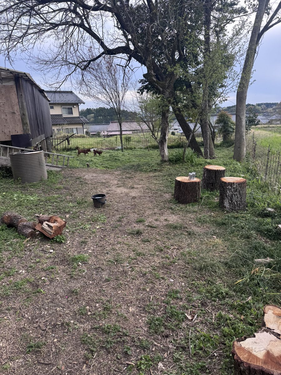 ぷん 🐕🐕🐈🐈🐈🐈‍⬛🍺🍶🍖🏍 tweet media