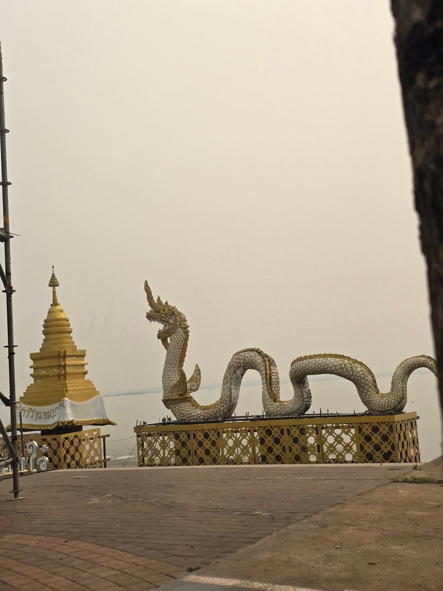 🍀Mlle﹏Imim💮갓세븐💚🌿 tweet media