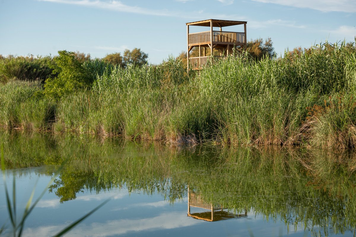 Lleida Turisme tweet media