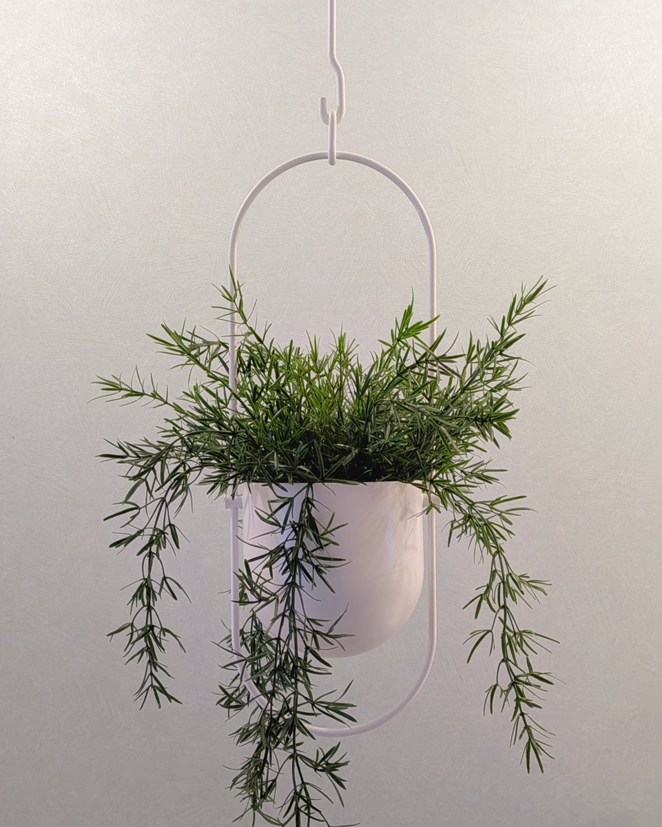 𝗧𝗮𝗸𝘂𝗺𝗶 tweet media