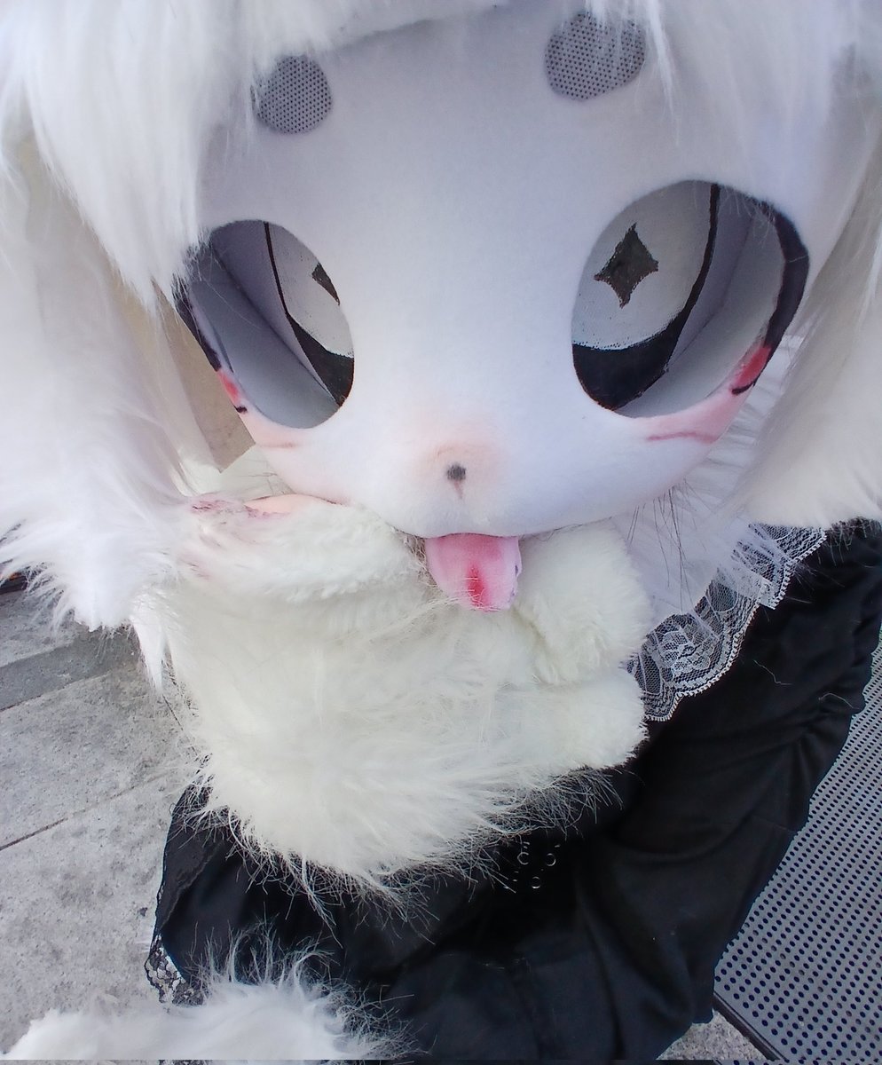 레레코 tweet media