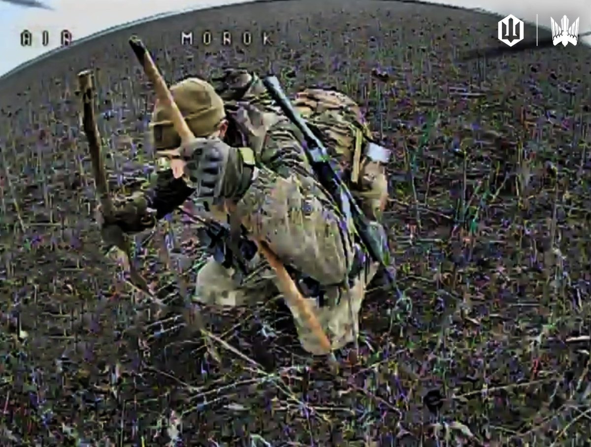 414magyarbirds's tweet photo. What do you need those sticks for?
#FinalShot https://t.co/7EOPpem5rK