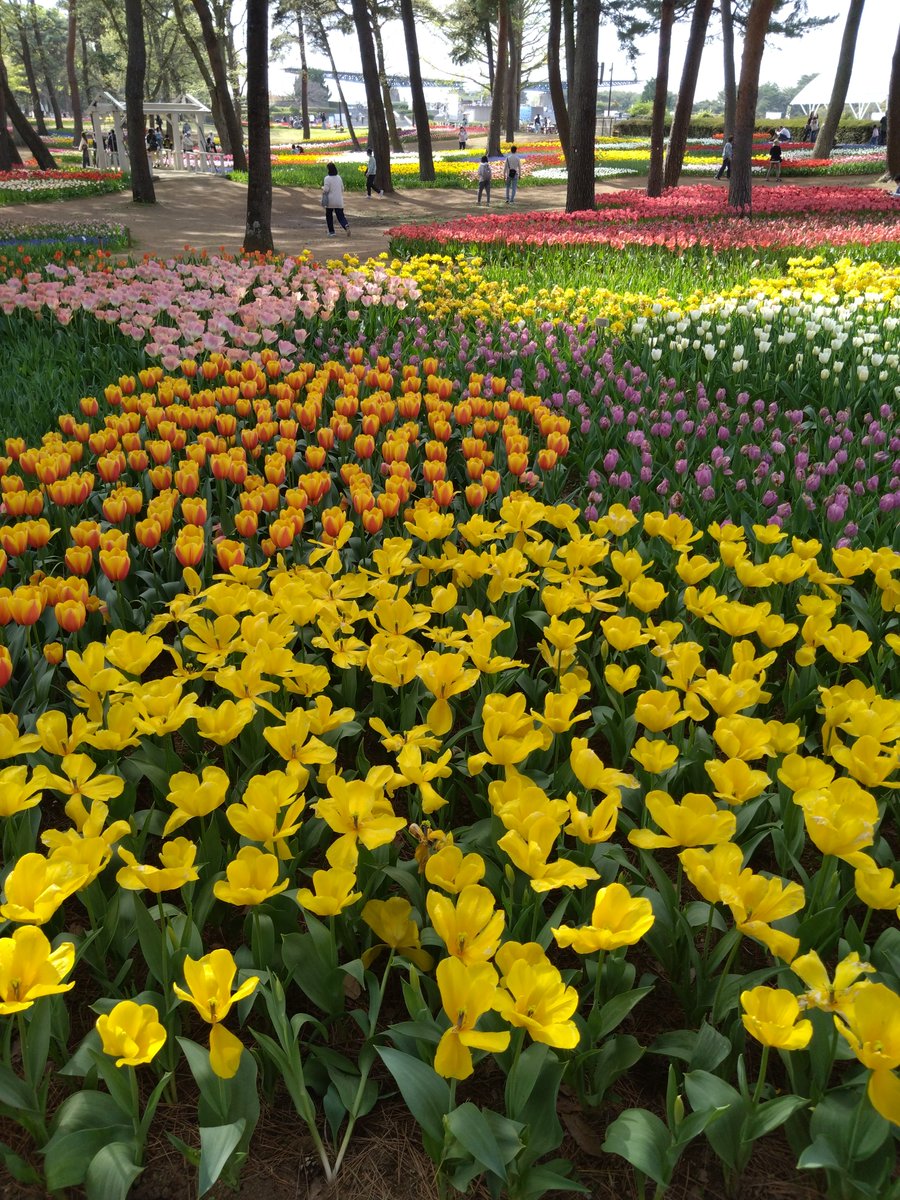 さーさん tweet media