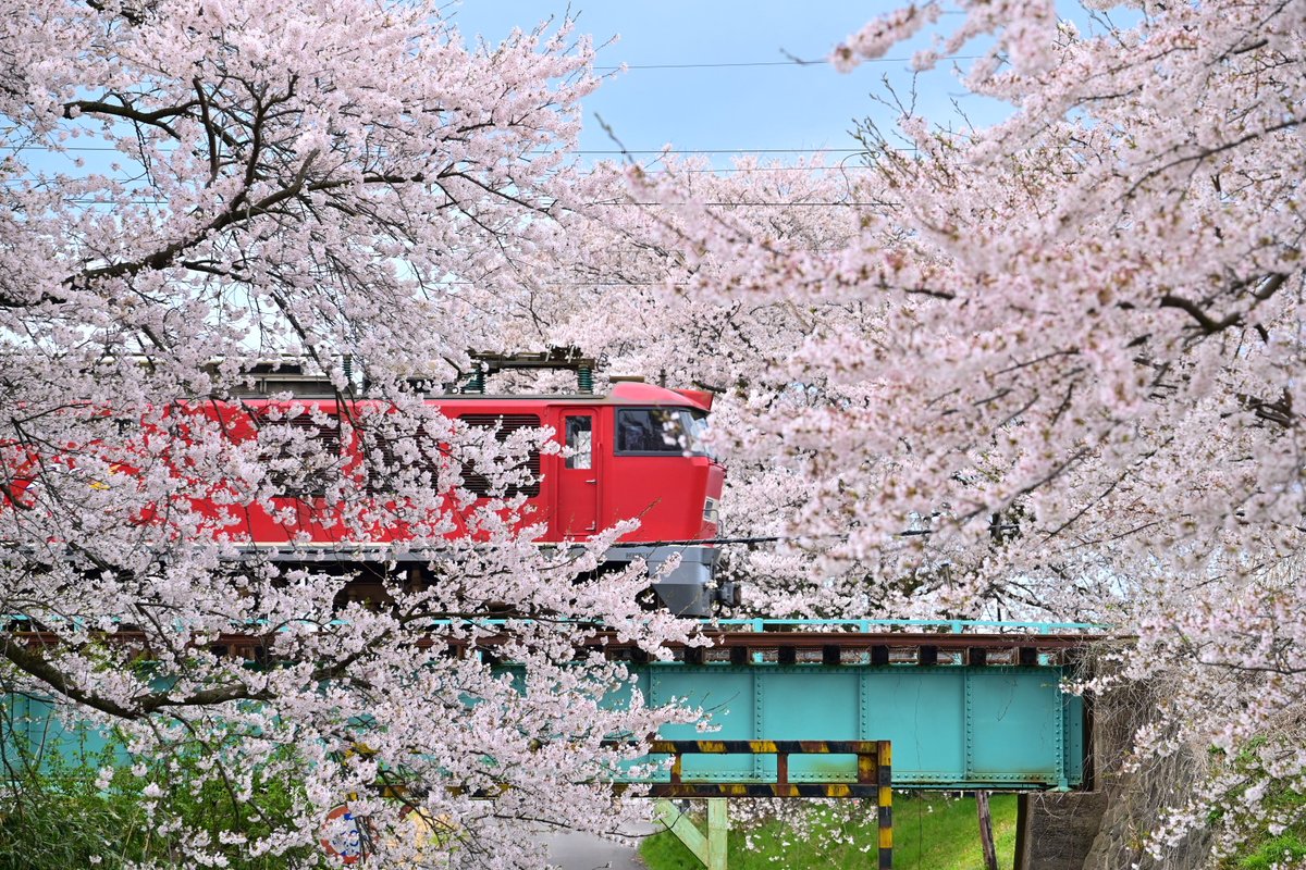 🔰んだガラナ🔰 tweet media